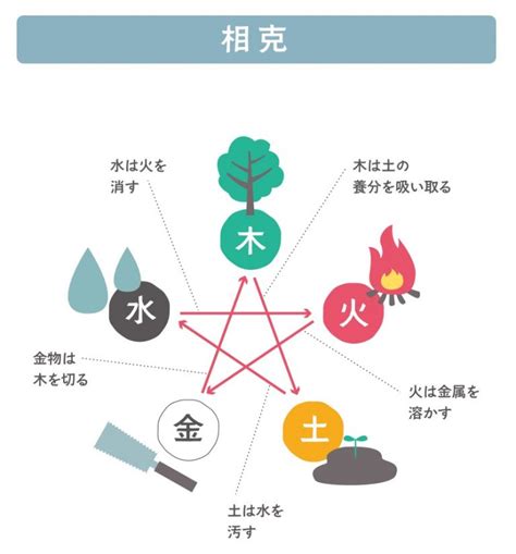 金剋木愛情|五行格局‧金木交攻格